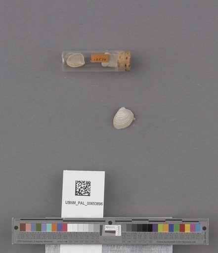 NSF ADBC EPICC TCN