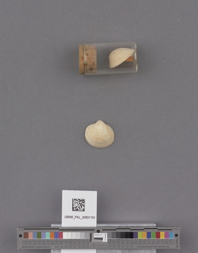 NSF ADBC EPICC TCN