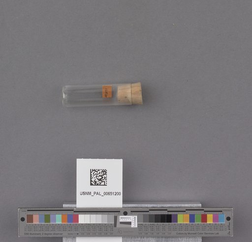 NSF ADBC EPICC TCN