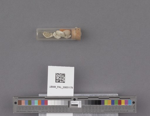 NSF ADBC EPICC TCN