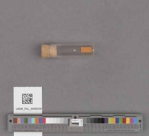 NSF ADBC EPICC TCN