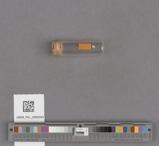 NSF ADBC EPICC TCN