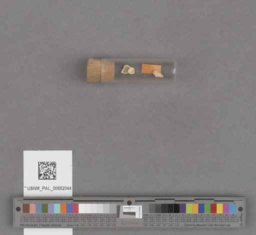 NSF ADBC EPICC TCN