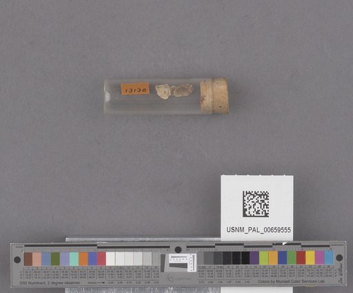NSF ADBC EPICC TCN
