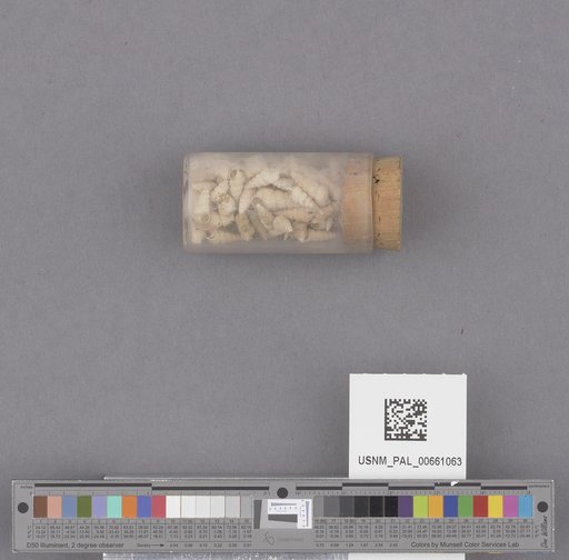 NSF ADBC EPICC TCN