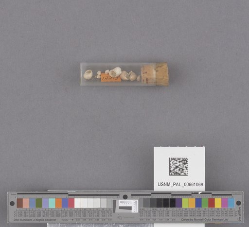 NSF ADBC EPICC TCN