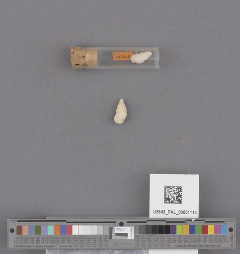 NSF ADBC EPICC TCN