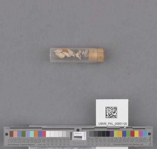 NSF ADBC EPICC TCN