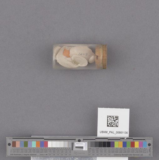 NSF ADBC EPICC TCN