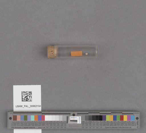 NSF ADBC EPICC TCN