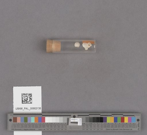 NSF ADBC EPICC TCN