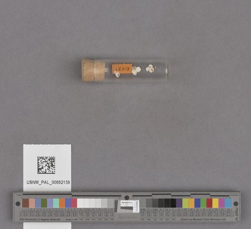 NSF ADBC EPICC TCN
