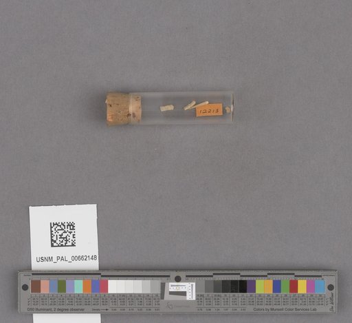 NSF ADBC EPICC TCN