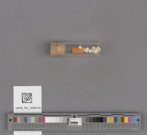 NSF ADBC EPICC TCN