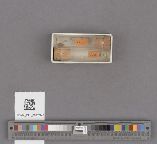 NSF ADBC EPICC TCN