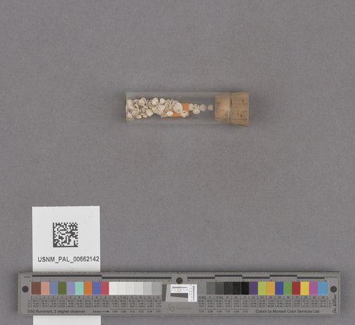 NSF ADBC EPICC TCN