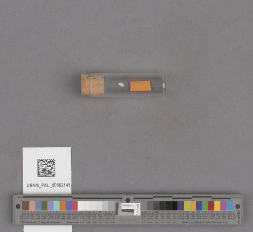 NSF ADBC EPICC TCN