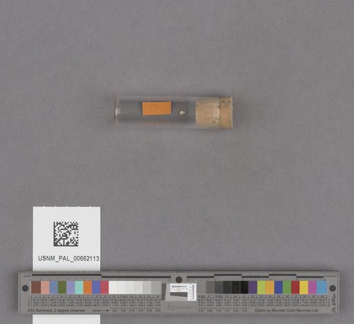 NSF ADBC EPICC TCN
