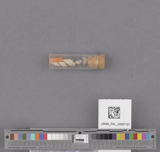 NSF ADBC EPICC TCN