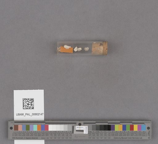 NSF ADBC EPICC TCN