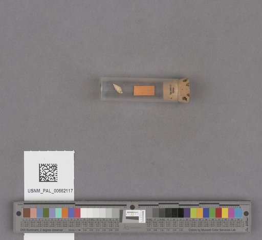 NSF ADBC EPICC TCN