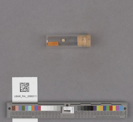 NSF ADBC EPICC TCN