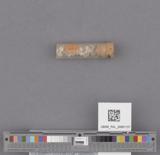 NSF ADBC EPICC TCN