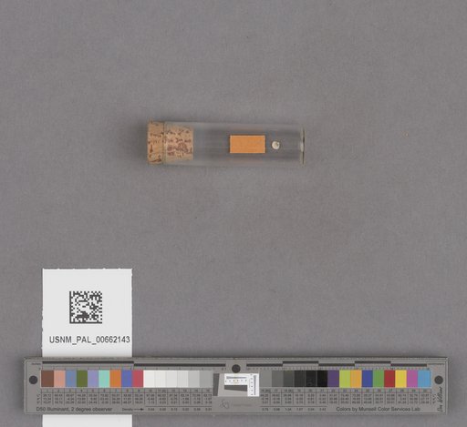 NSF ADBC EPICC TCN