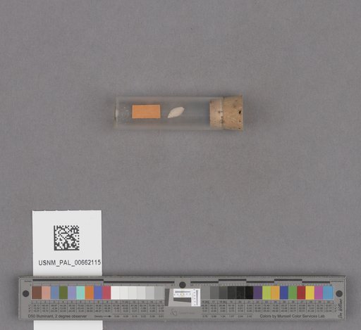 NSF ADBC EPICC TCN