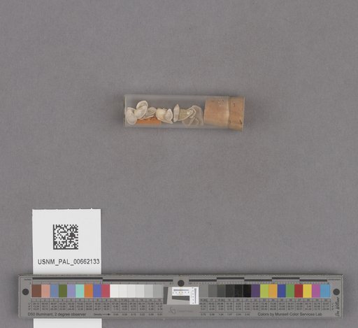 NSF ADBC EPICC TCN