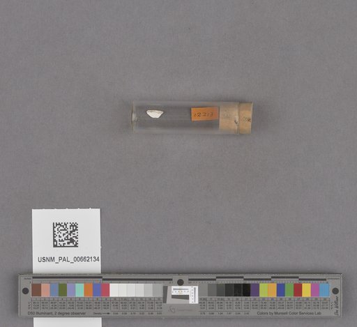 NSF ADBC EPICC TCN