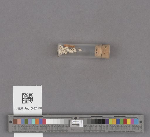 NSF ADBC EPICC TCN