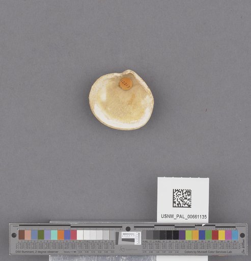 NSF ADBC EPICC TCN