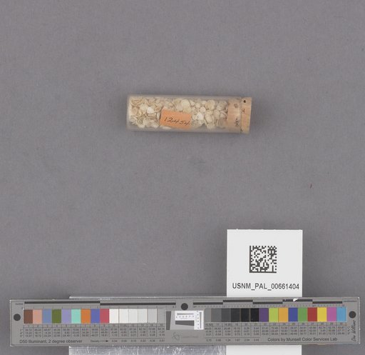 NSF ADBC EPICC TCN