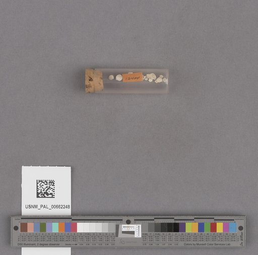 NSF ADBC EPICC TCN