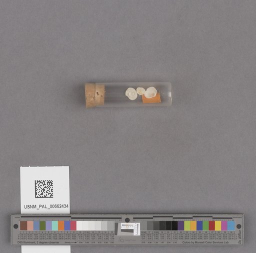 NSF ADBC EPICC TCN