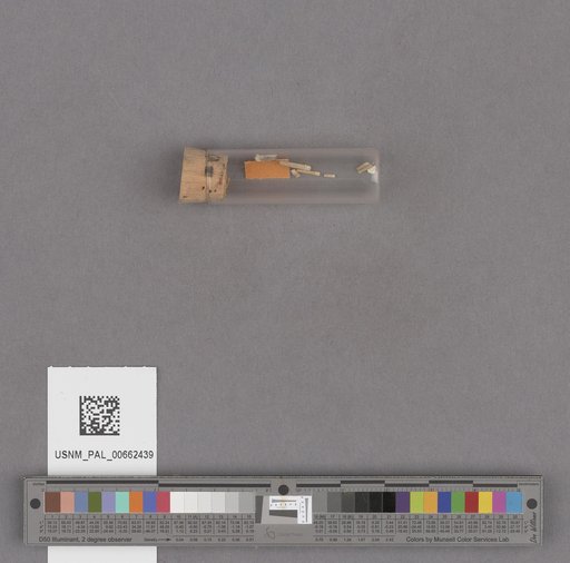 NSF ADBC EPICC TCN