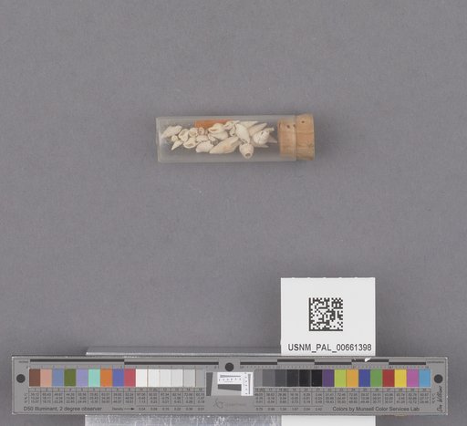 NSF ADBC EPICC TCN