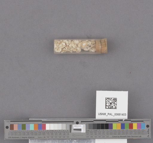 NSF ADBC EPICC TCN
