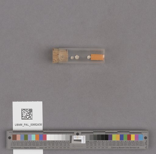 NSF ADBC EPICC TCN