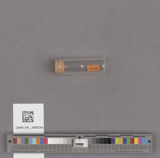 NSF ADBC EPICC TCN