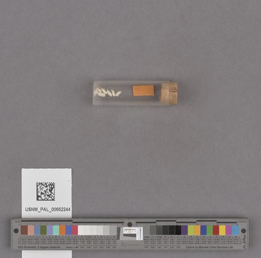 NSF ADBC EPICC TCN
