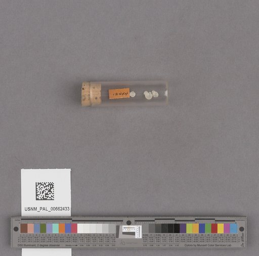 NSF ADBC EPICC TCN