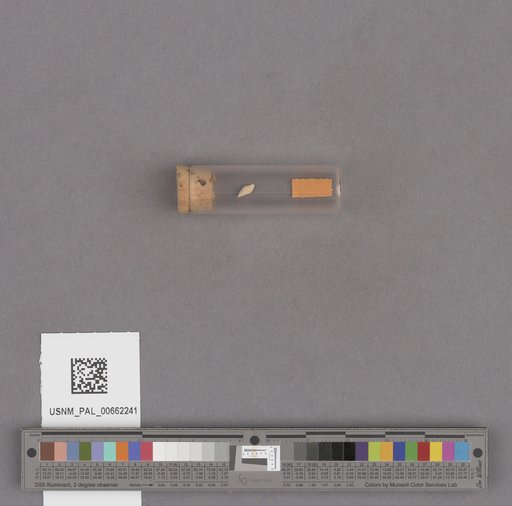 NSF ADBC EPICC TCN