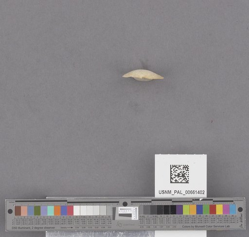NSF ADBC EPICC TCN