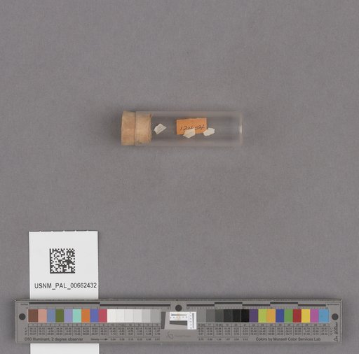 NSF ADBC EPICC TCN