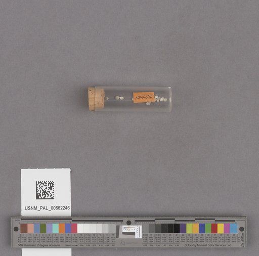 NSF ADBC EPICC TCN