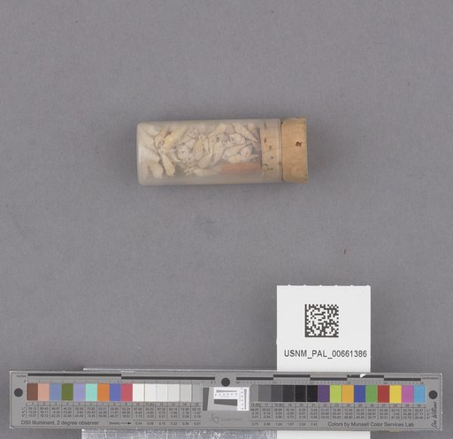 NSF ADBC EPICC TCN