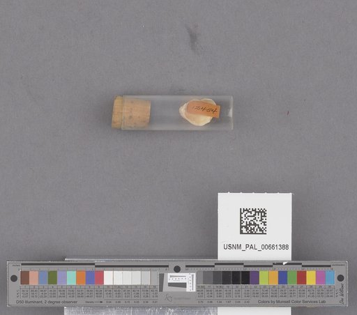NSF ADBC EPICC TCN