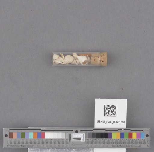 NSF ADBC EPICC TCN